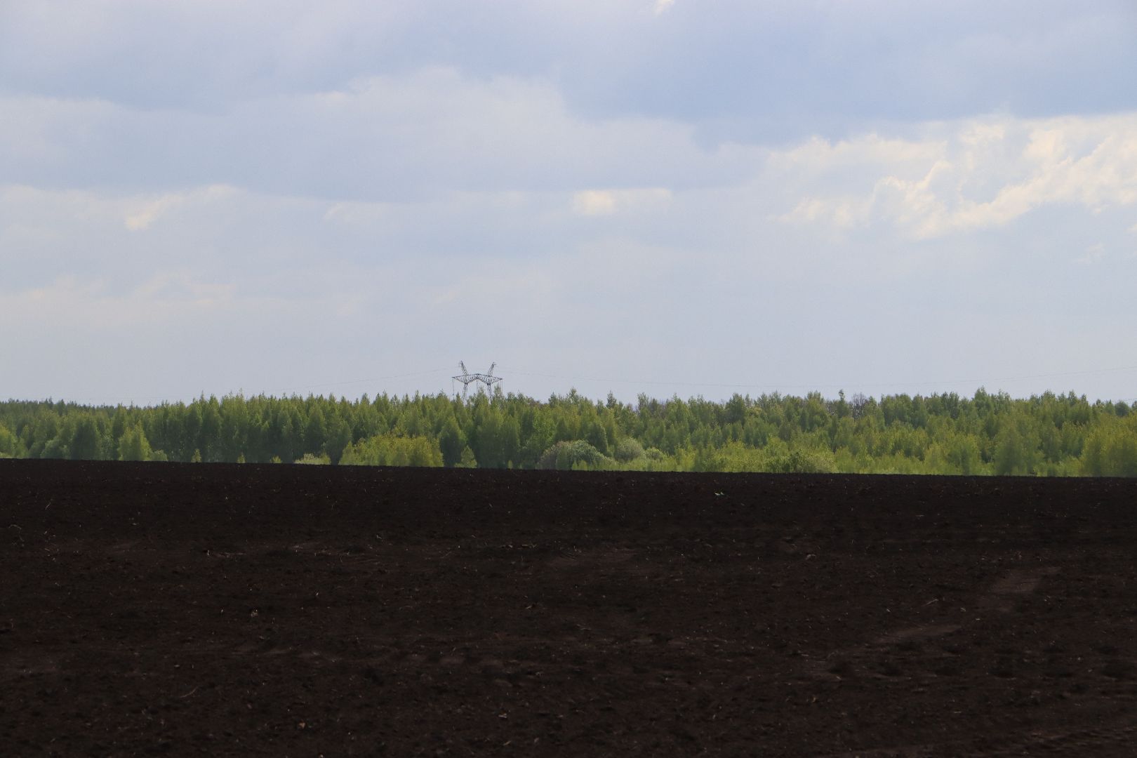 Серебряные Пруды, Сельское хозяйство, посевная 2024, соя,