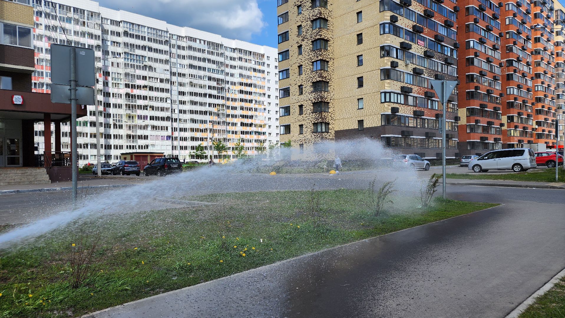 благоустройство, Лосино-Петровский, коммунальщики, растения, деревья,