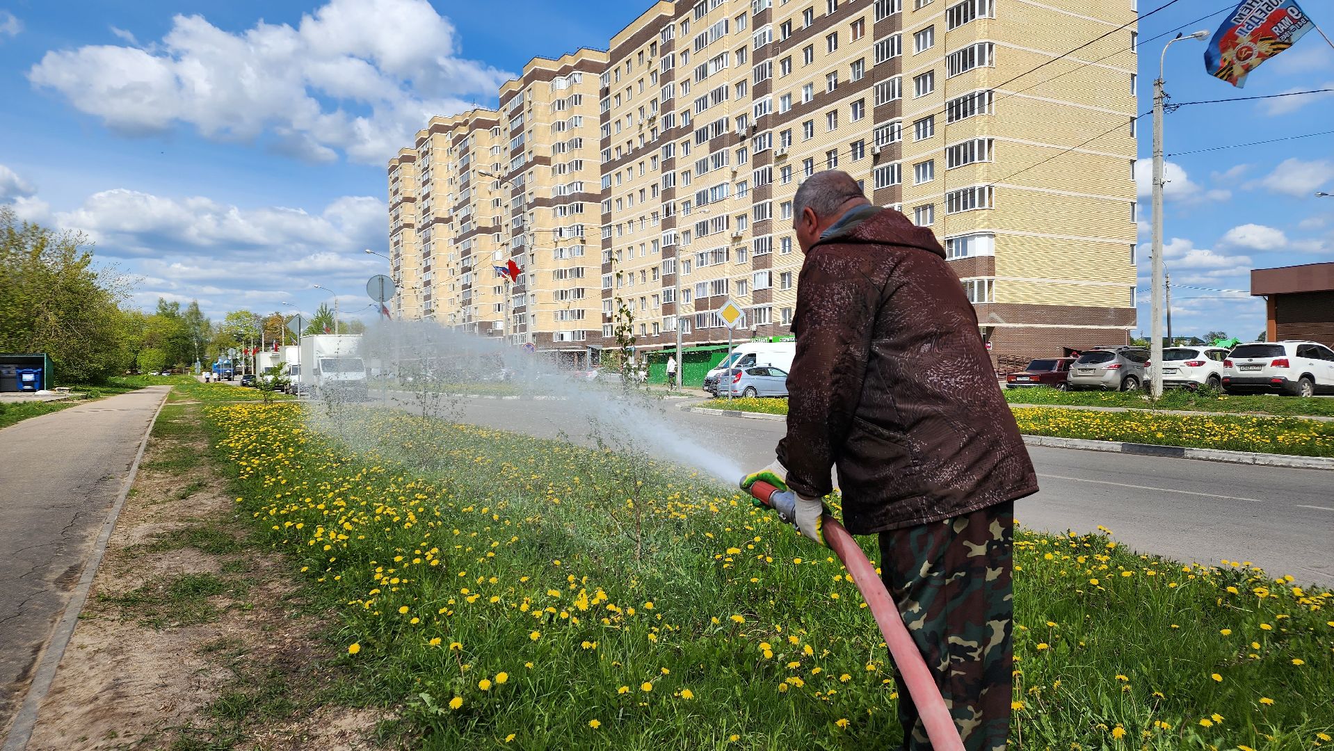 благоустройство, Лосино-Петровский, коммунальщики, растения, деревья,