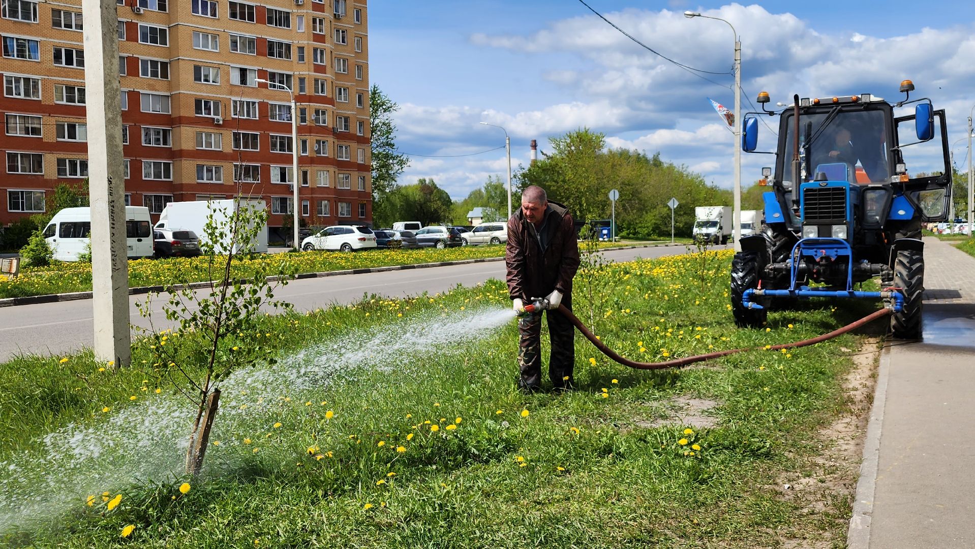 благоустройство, Лосино-Петровский, коммунальщики, растения, деревья,