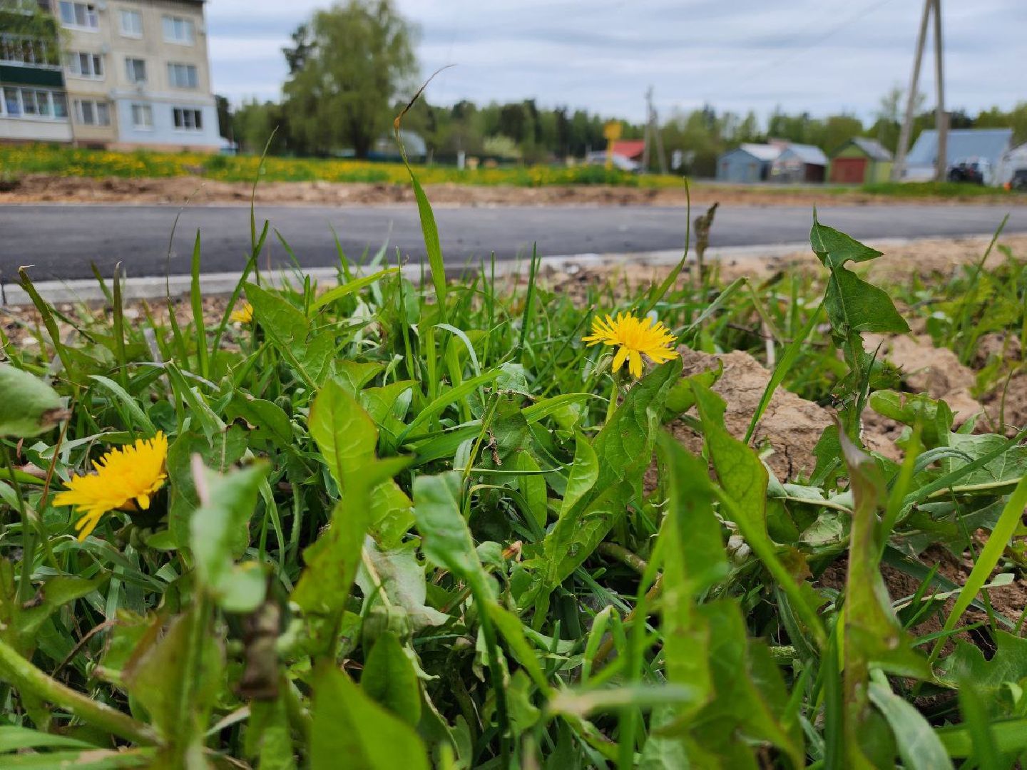 можайск, можайский городской округ, подмосковье, народные тропы, губернаторская программа, нацпроект, пешком, благоустройство,