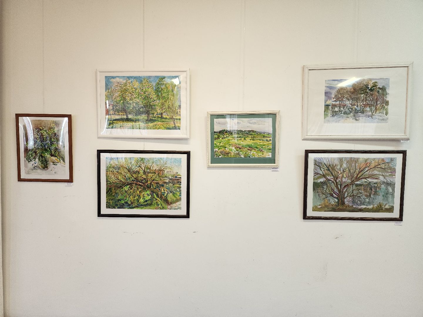 выставка, художник, Ногинский дом художника, Богородский городской округ,