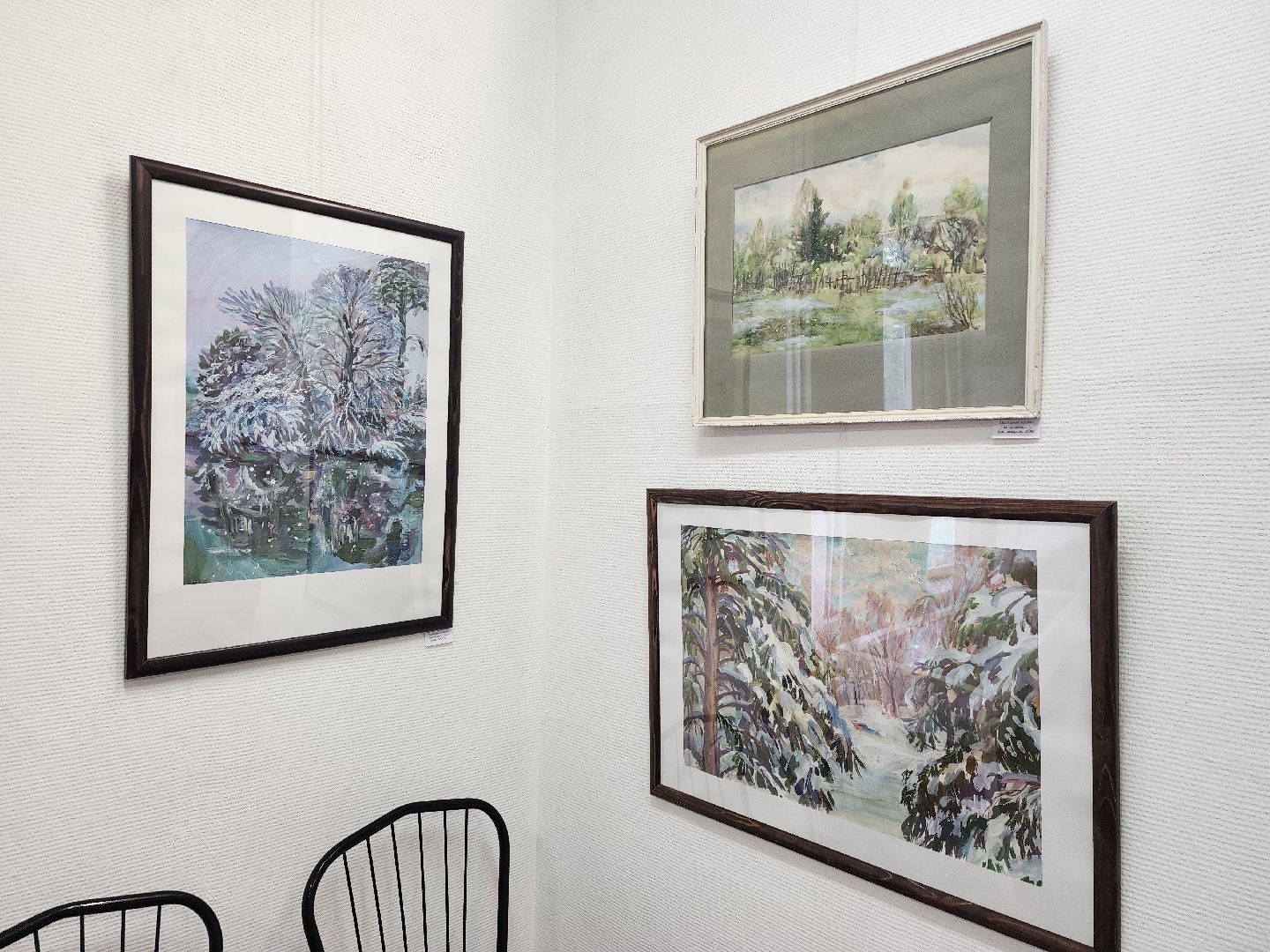 выставка, художник, Ногинский дом художника, Богородский городской округ,