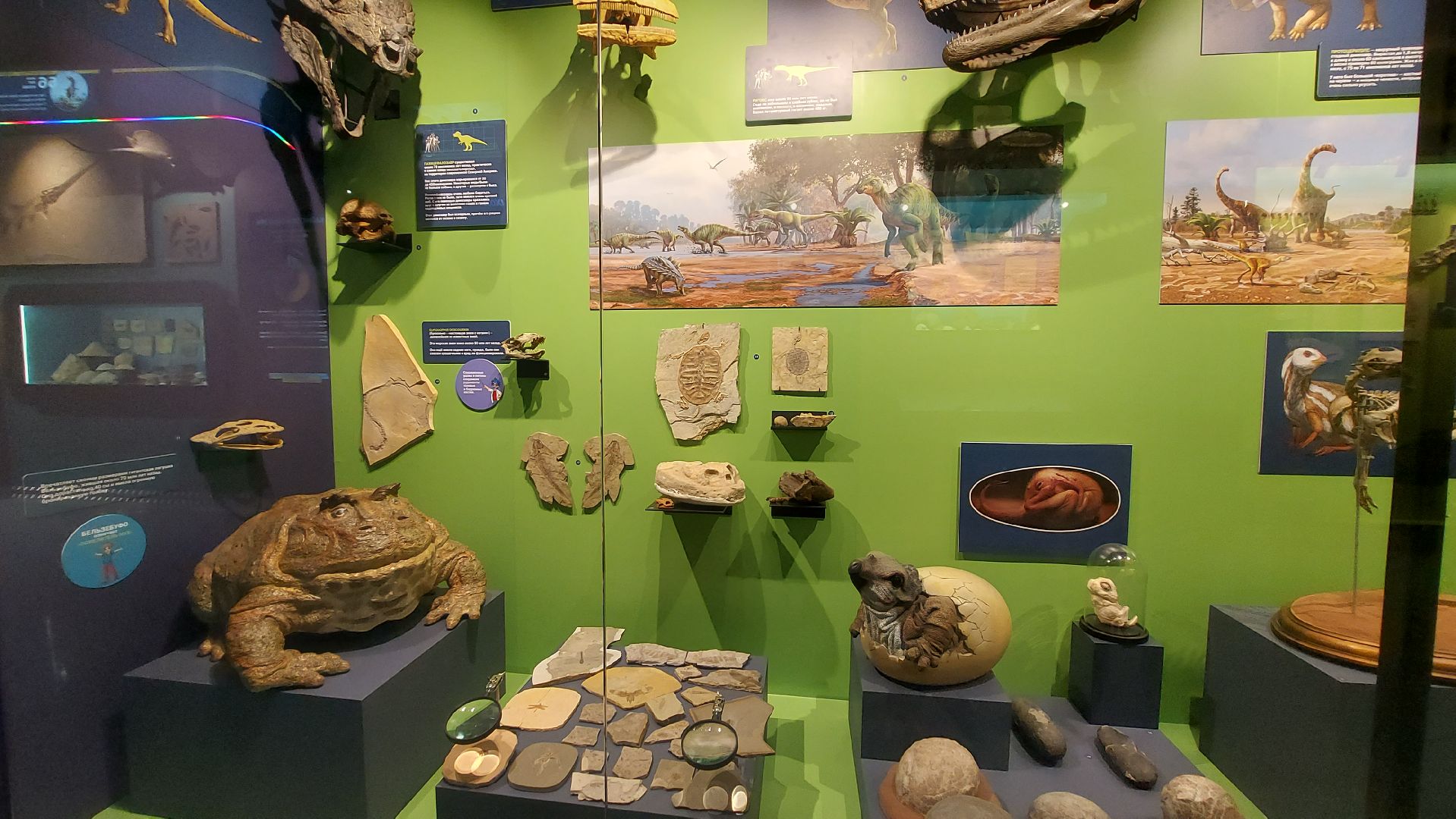 история, палеонтология, музей, туризм в подмосковье,