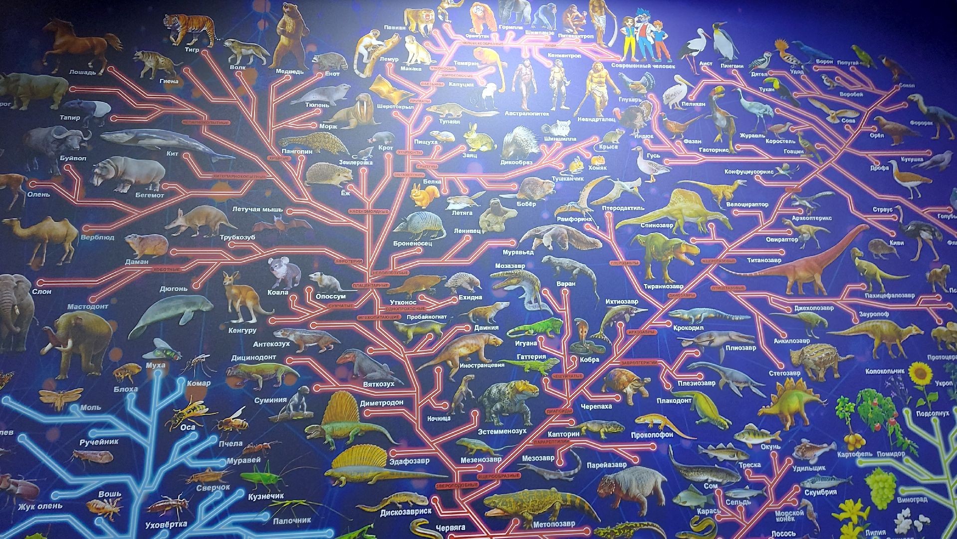 история, палеонтология, музей, туризм в подмосковье,