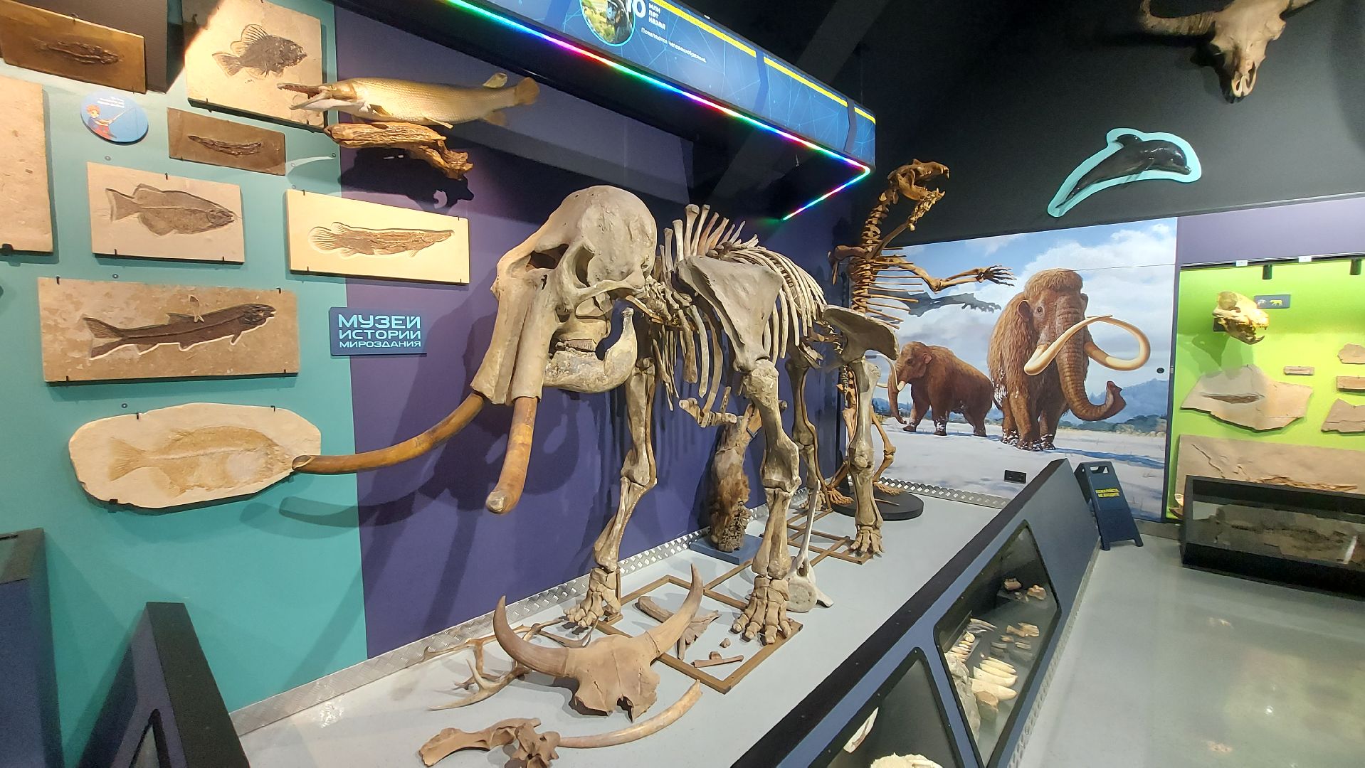 история, палеонтология, музей, туризм в подмосковье,