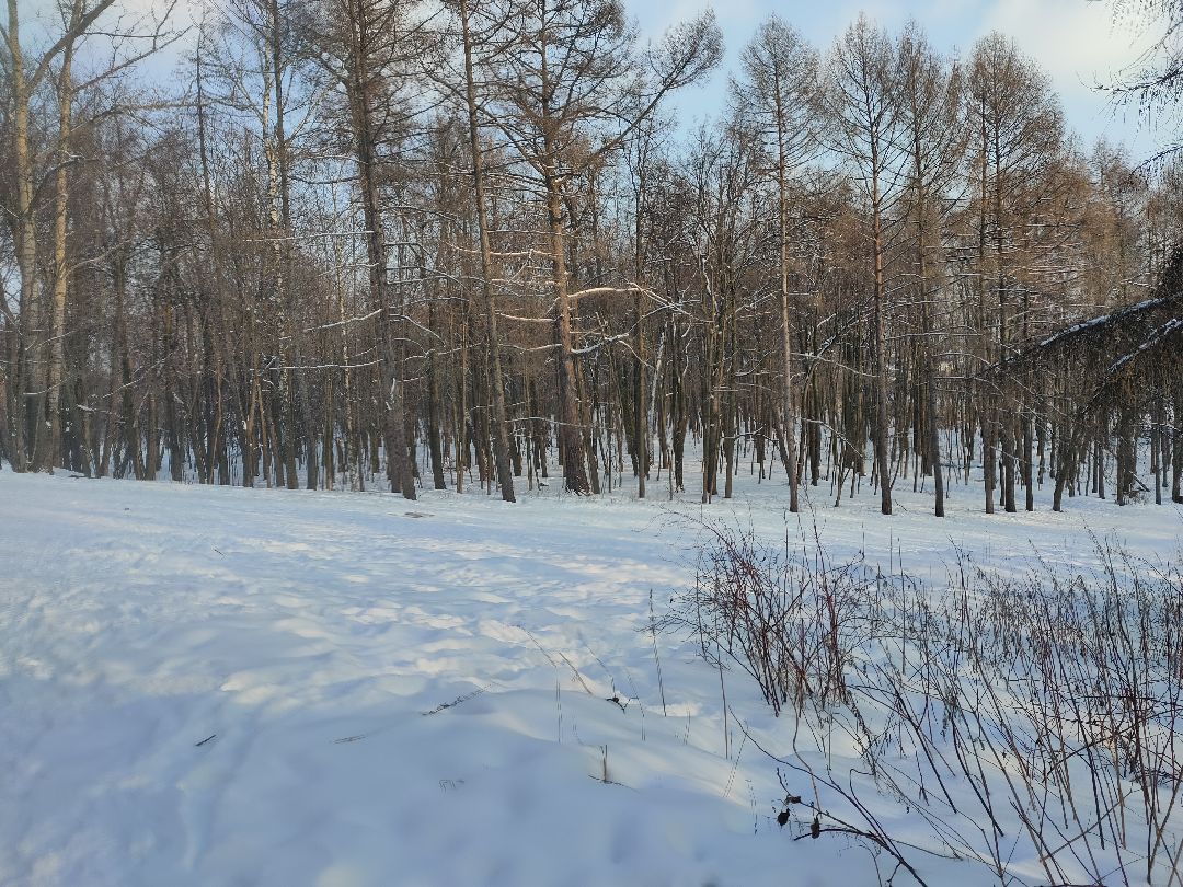 Раменское, культура