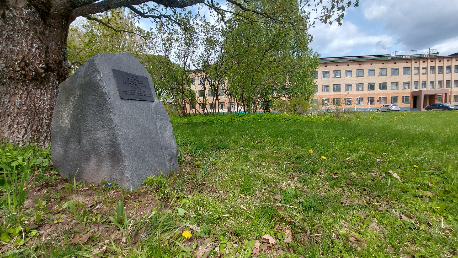 сельское хозяйство, пшеница, опыты,