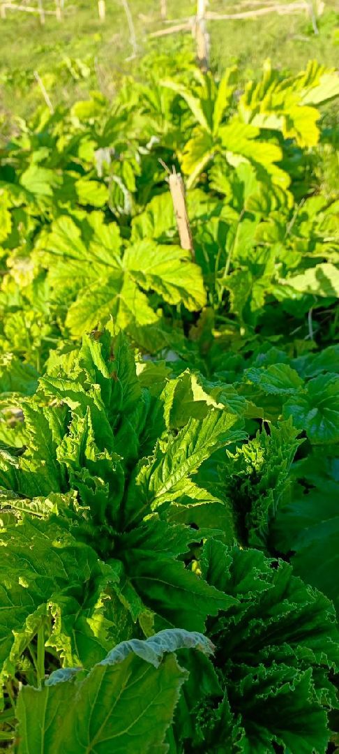 Талдом, Выездная администрация,