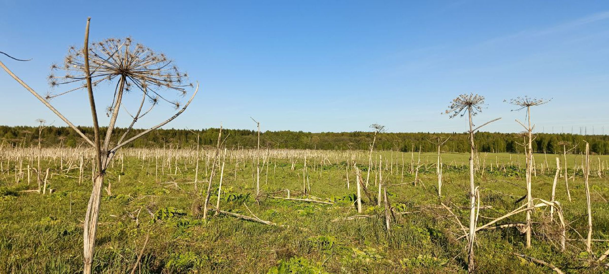 Талдом, Выездная администрация,