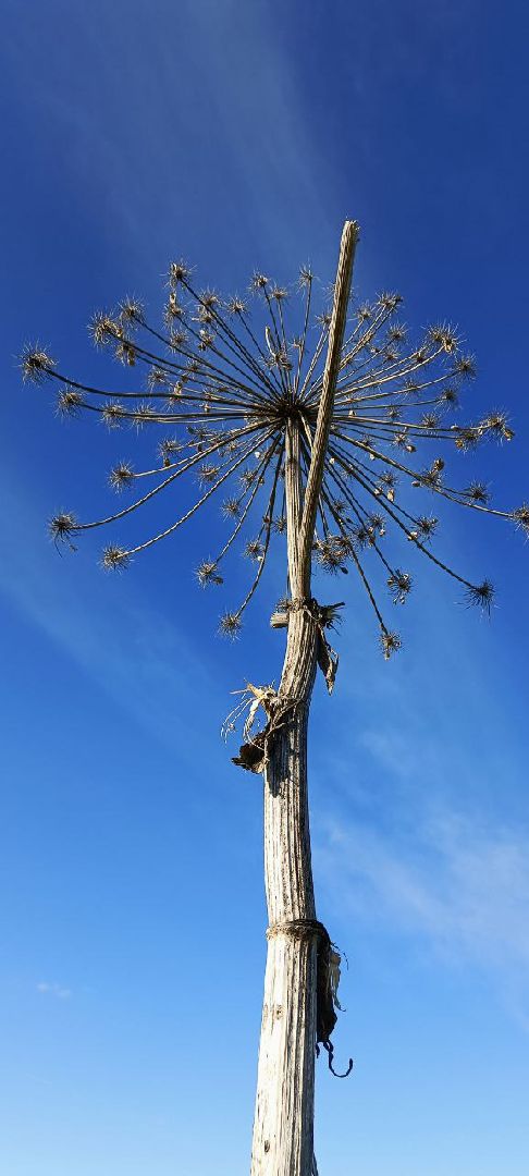 Талдом, Выездная администрация,