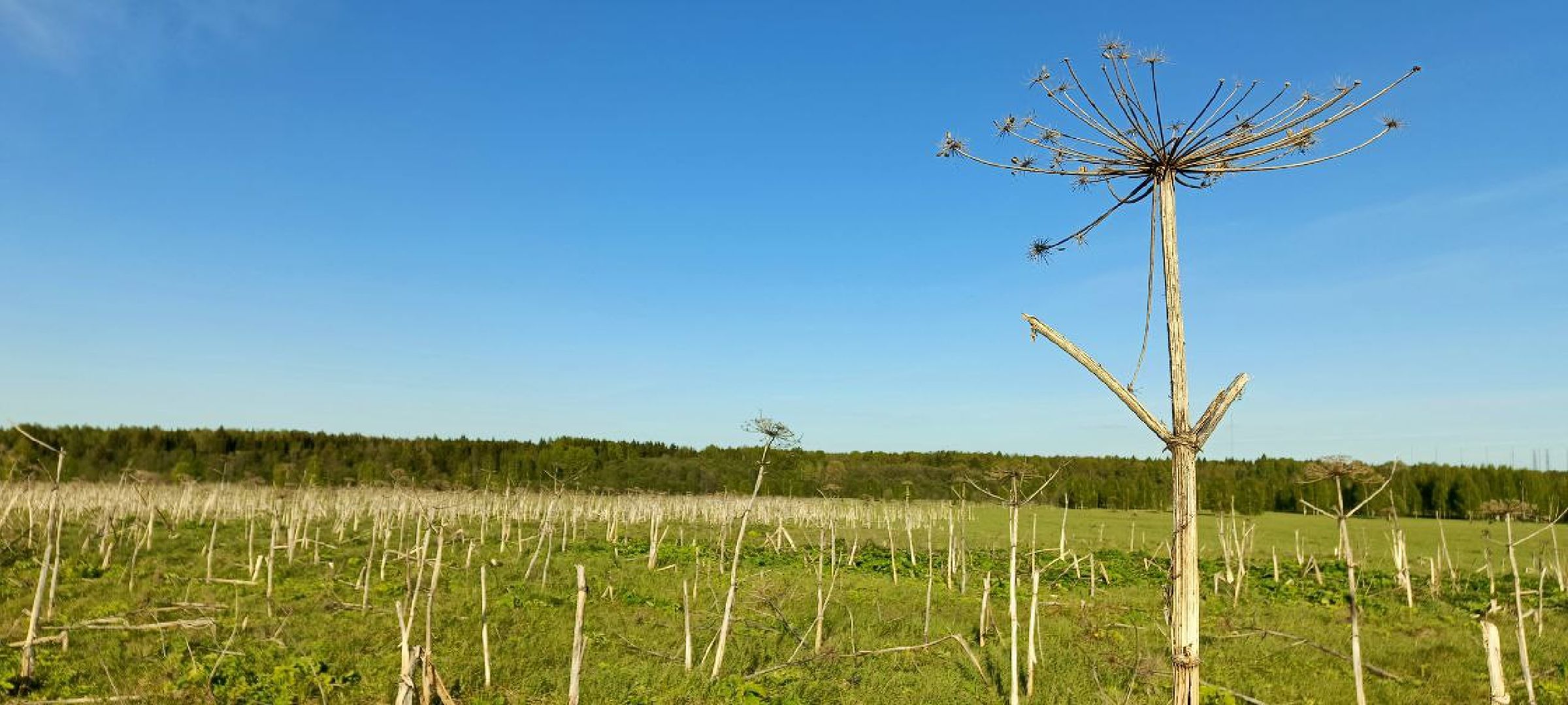 Талдом, Выездная администрация,