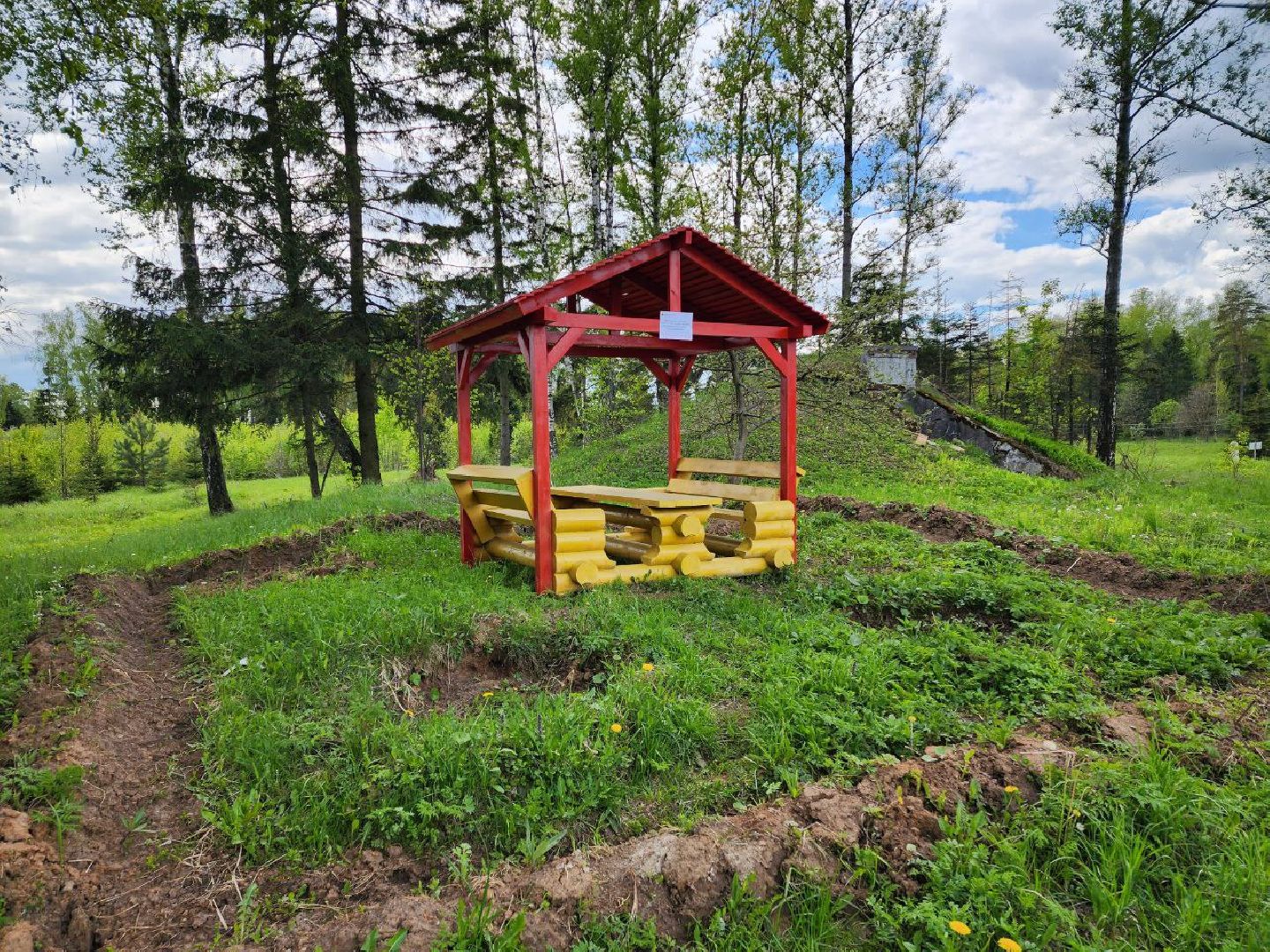 чехов, общество, зона для пикника, зона для отдыха, лесничество,