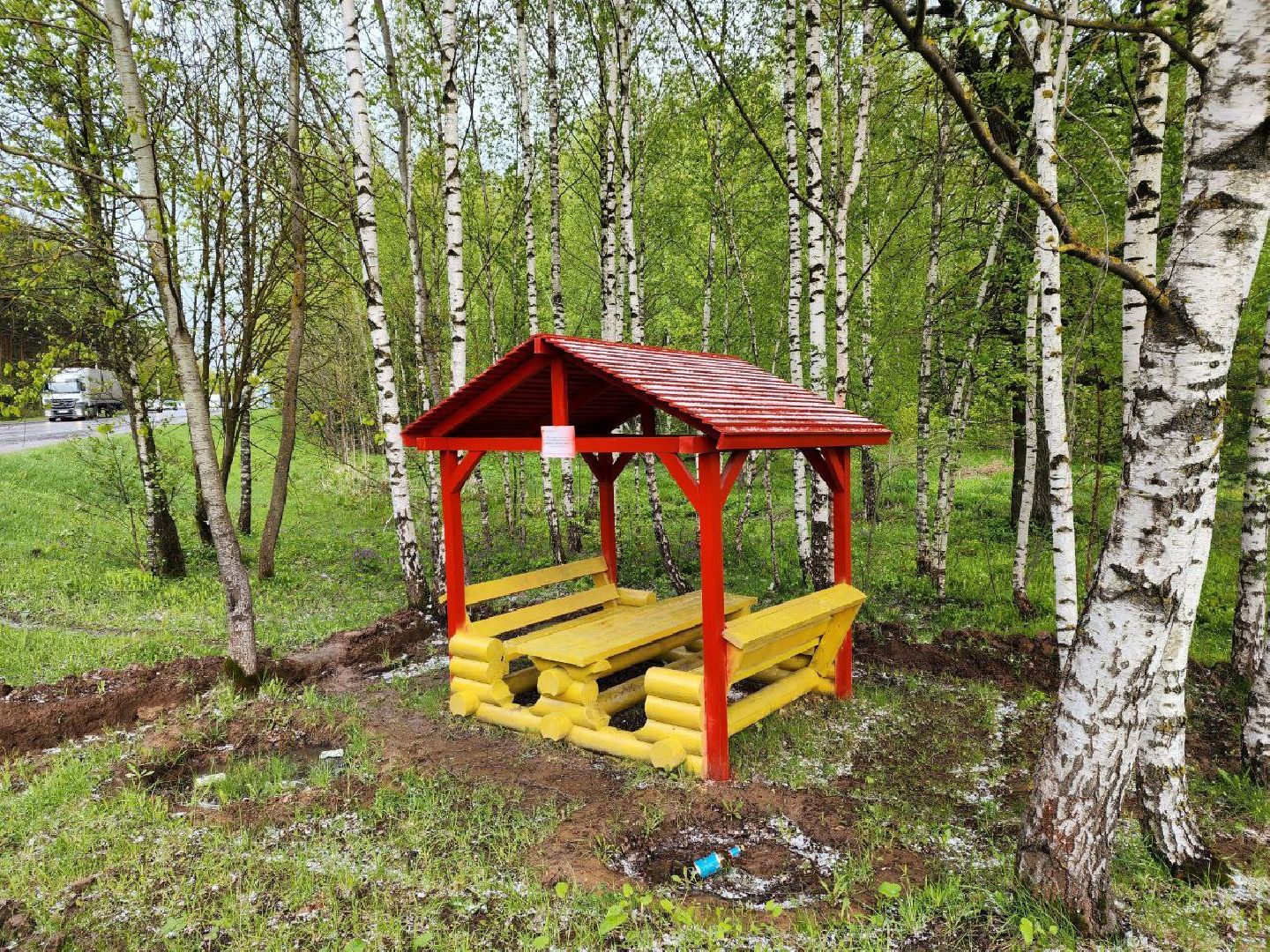 чехов, общество, зона для пикника, зона для отдыха, лесничество,