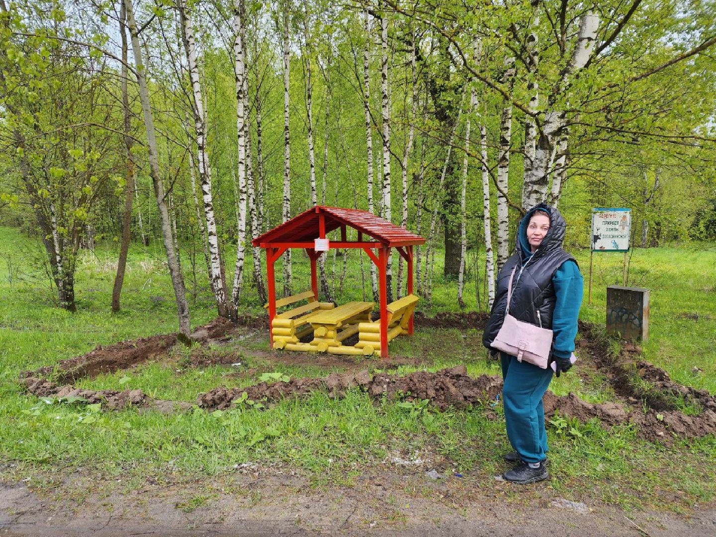 чехов, общество, зона для пикника, зона для отдыха, лесничество,