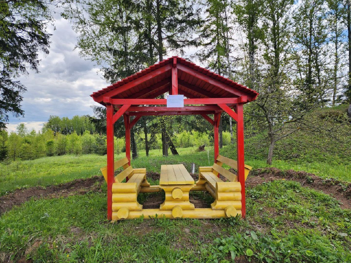 чехов, общество, зона для пикника, зона для отдыха, лесничество,