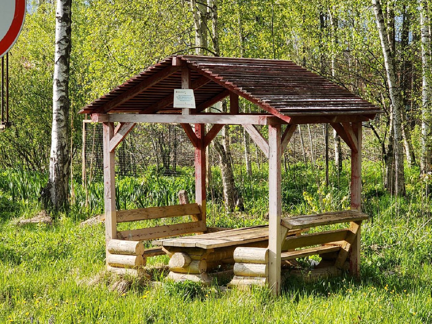 чехов, общество, зона для пикника, зона для отдыха, лесничество,