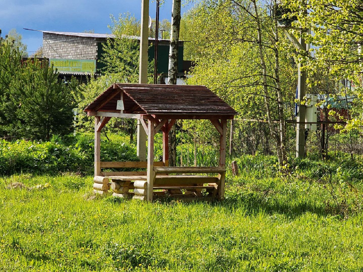 чехов, общество, зона для пикника, зона для отдыха, лесничество,