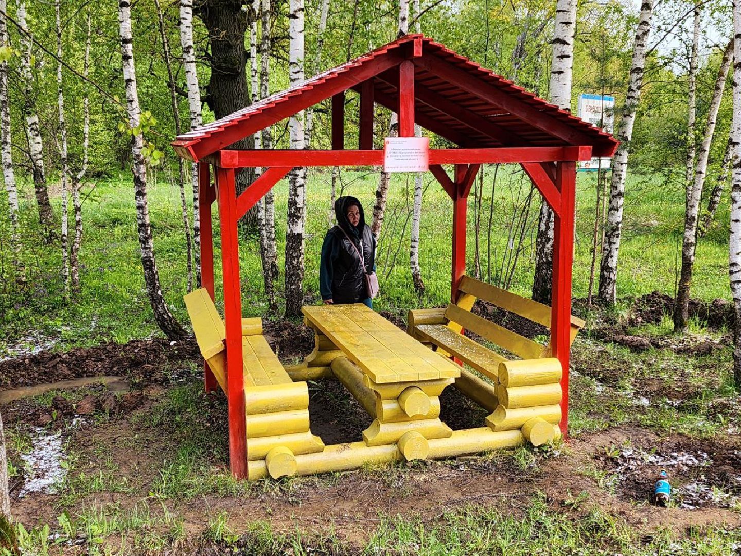 чехов, общество, зона для пикника, зона для отдыха, лесничество,