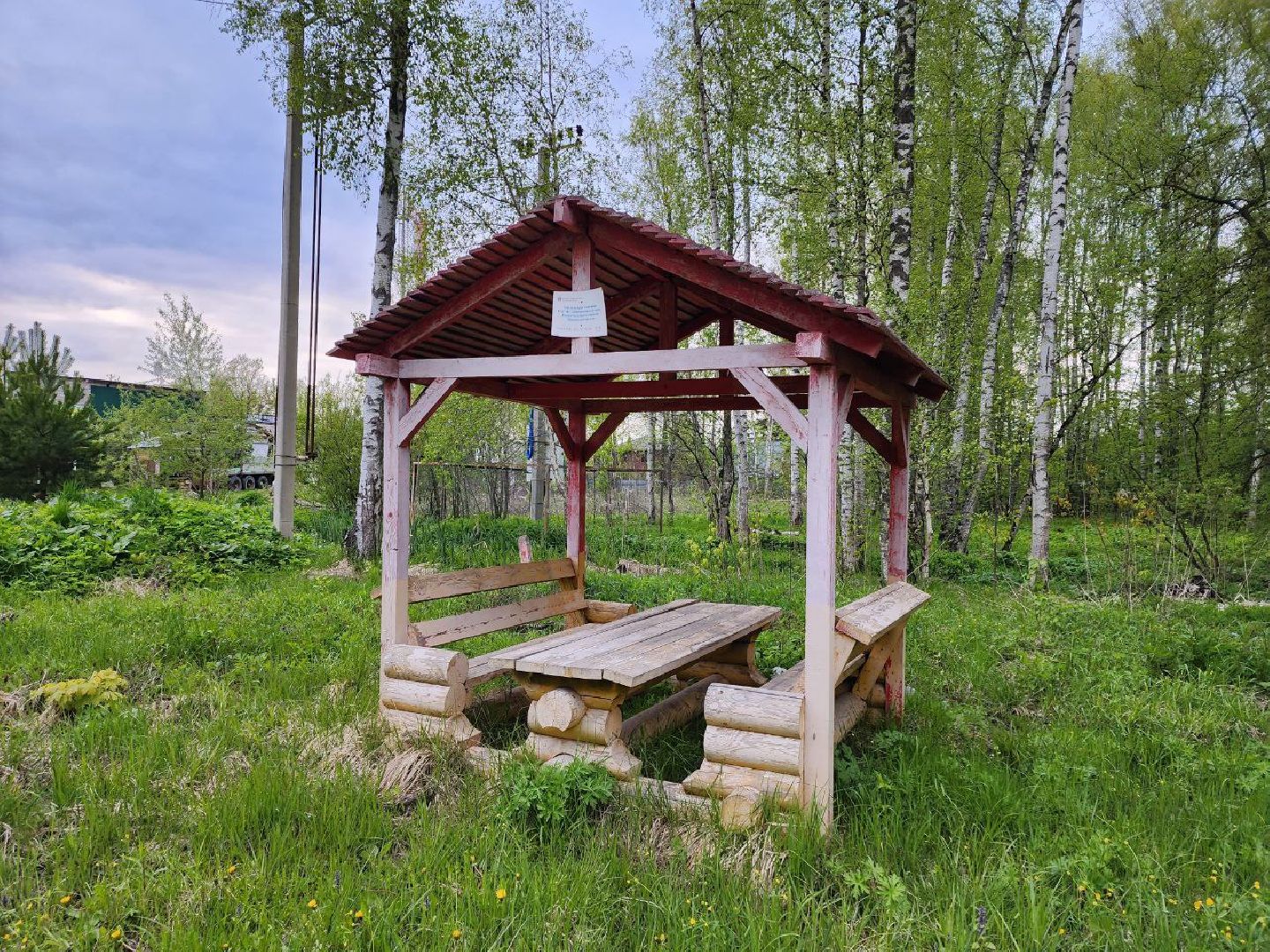 чехов, общество, зона для пикника, зона для отдыха, лесничество,