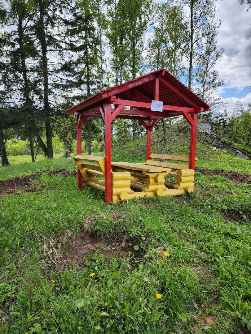 чехов, общество, зона для пикника, зона для отдыха, лесничество,