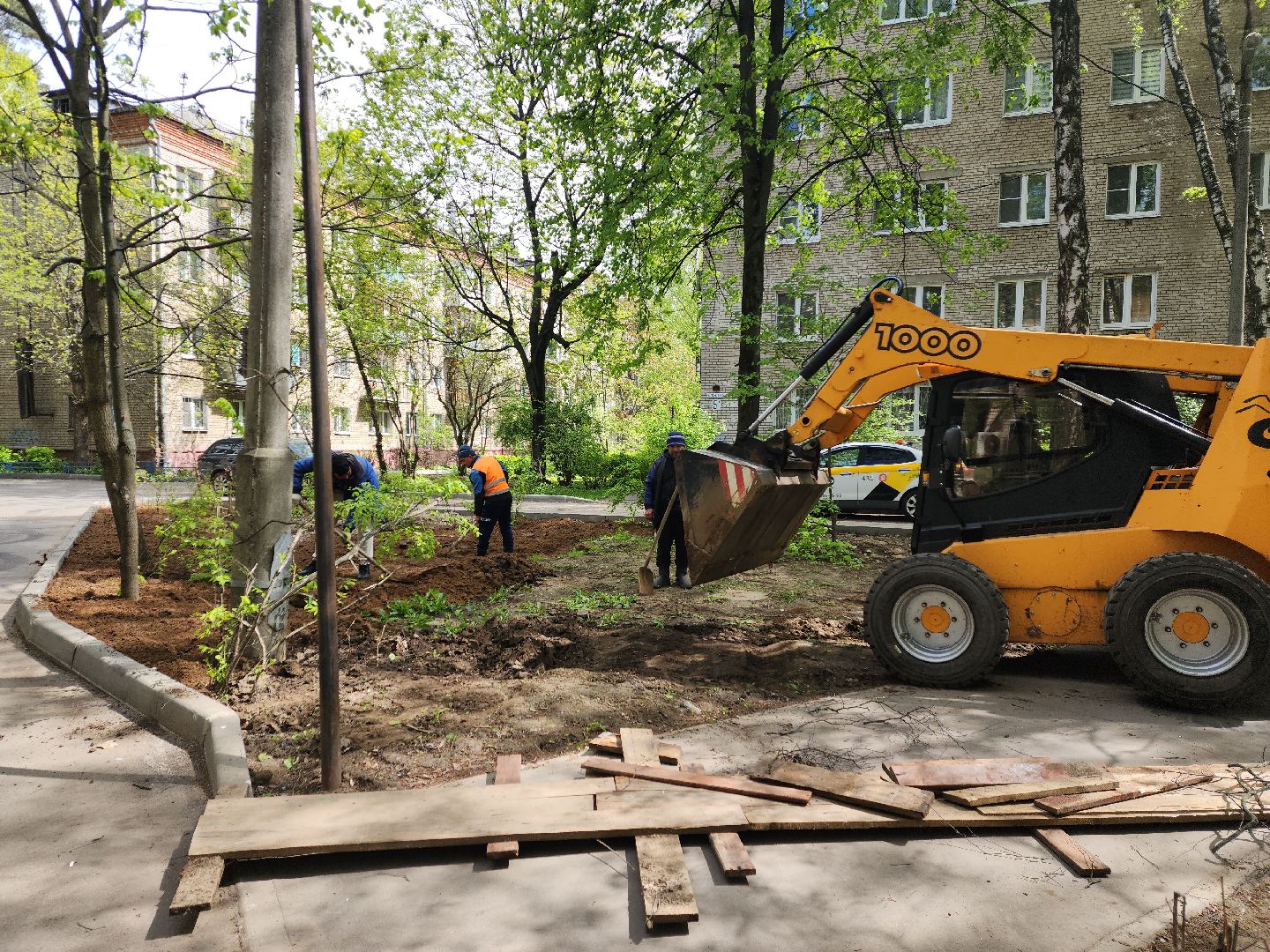 пушкино, благоустройство, газон, трава,