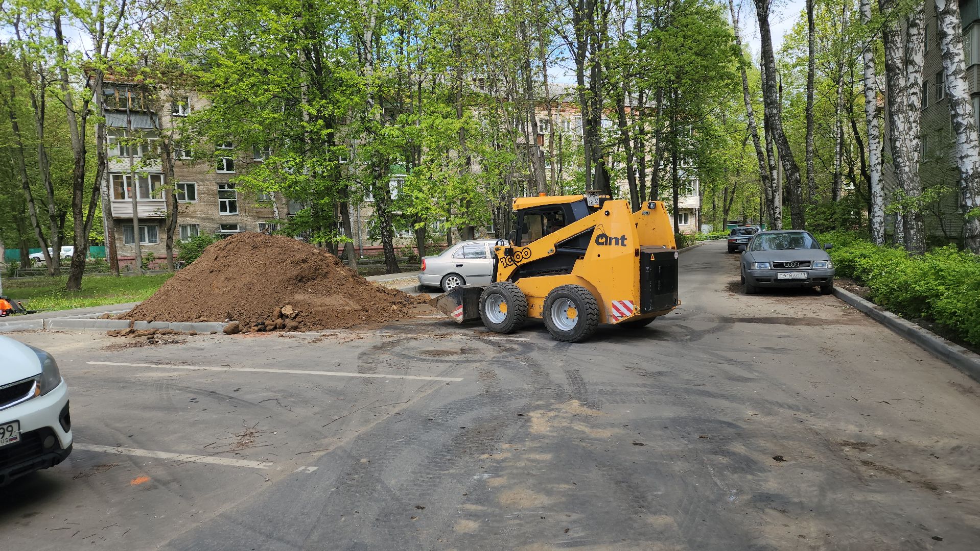 пушкино, благоустройство, газон, трава,