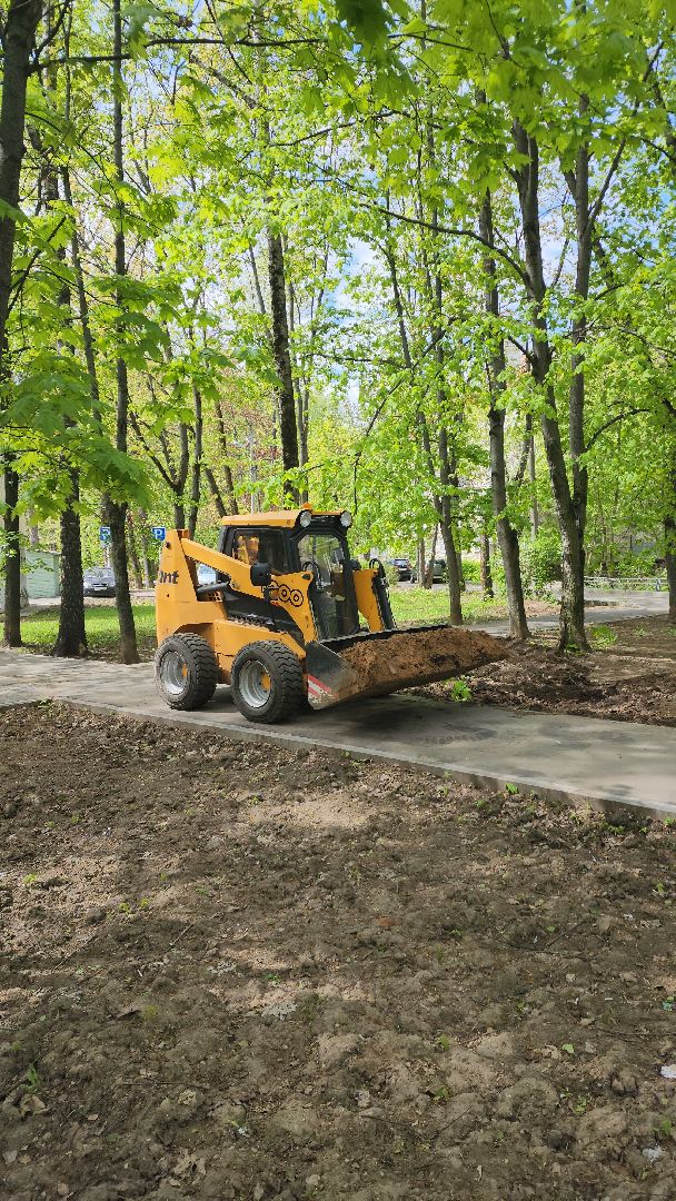 пушкино, благоустройство, газон, трава,