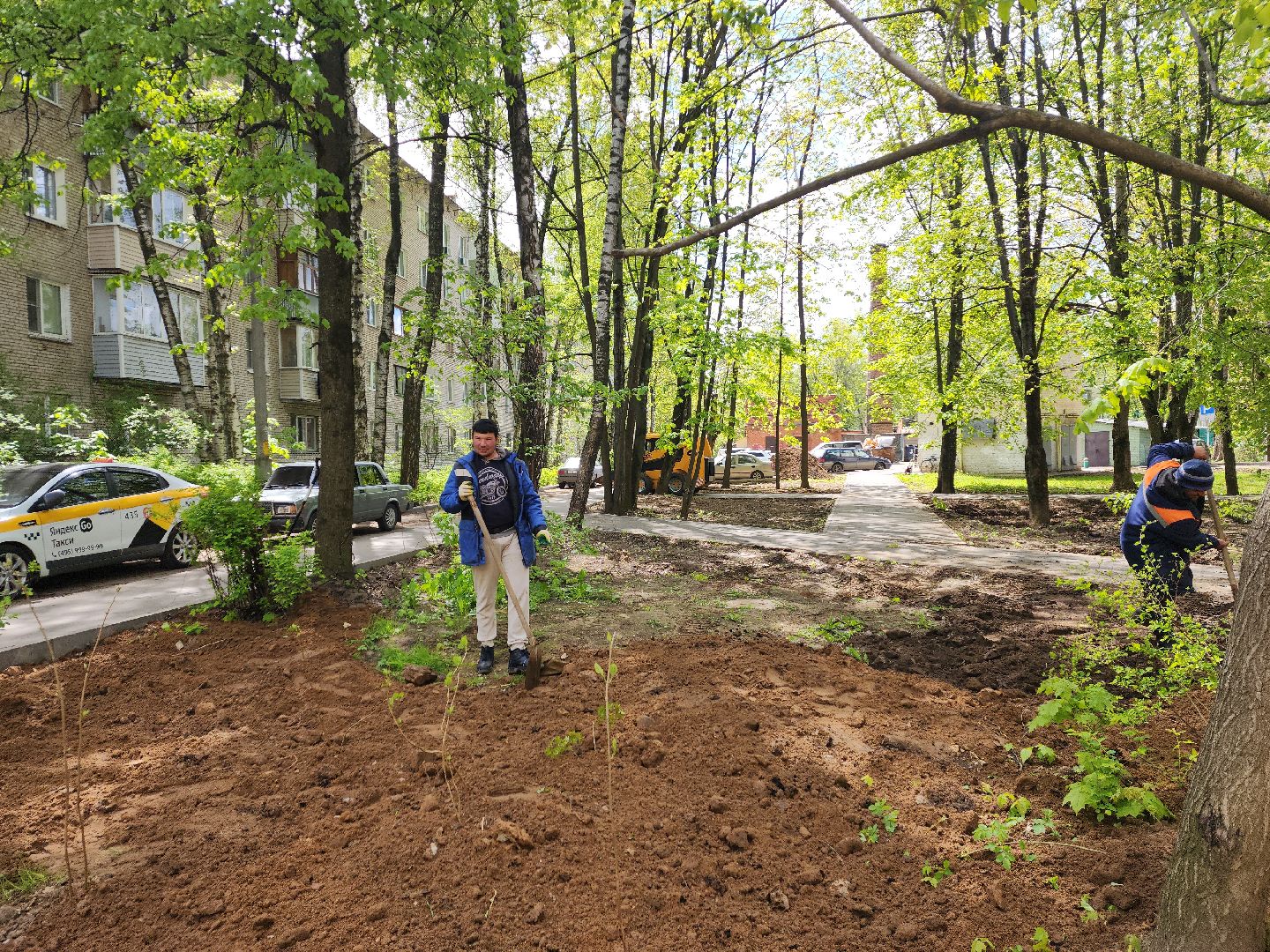 пушкино, благоустройство, газон, трава,