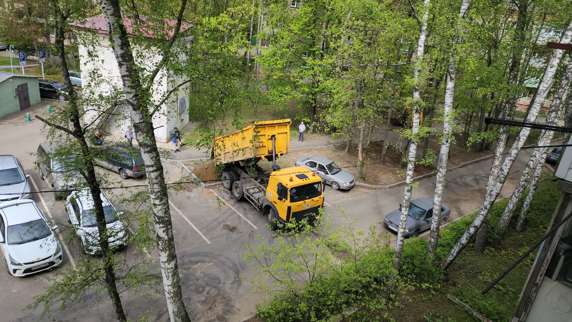 пушкино, благоустройство, газон, трава,