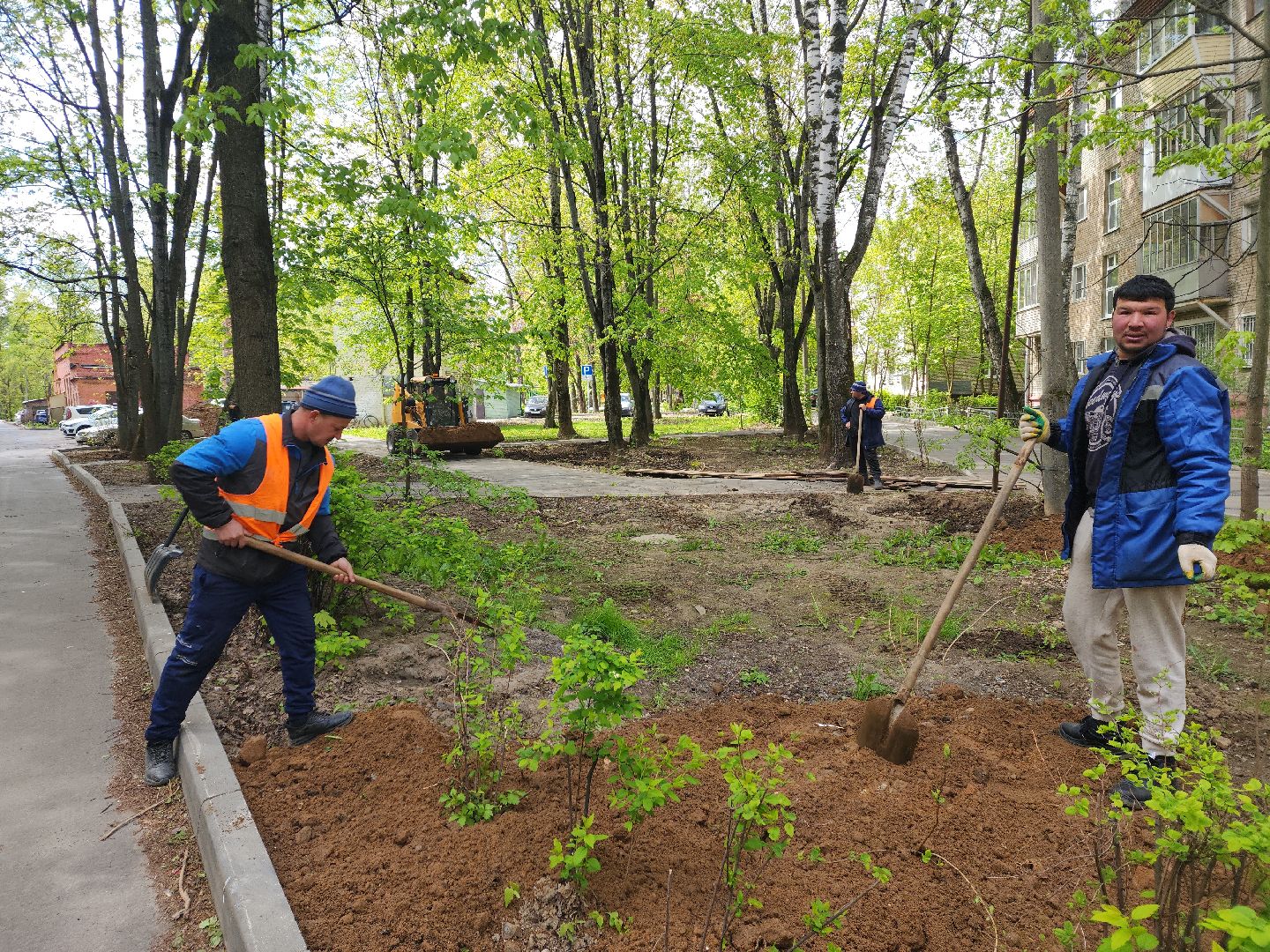 пушкино, благоустройство, газон, трава,