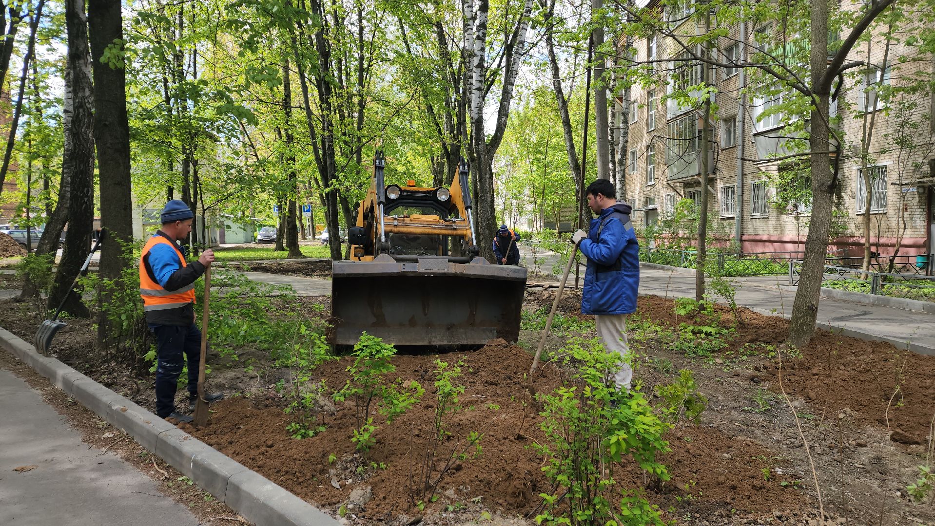 пушкино, благоустройство, газон, трава,