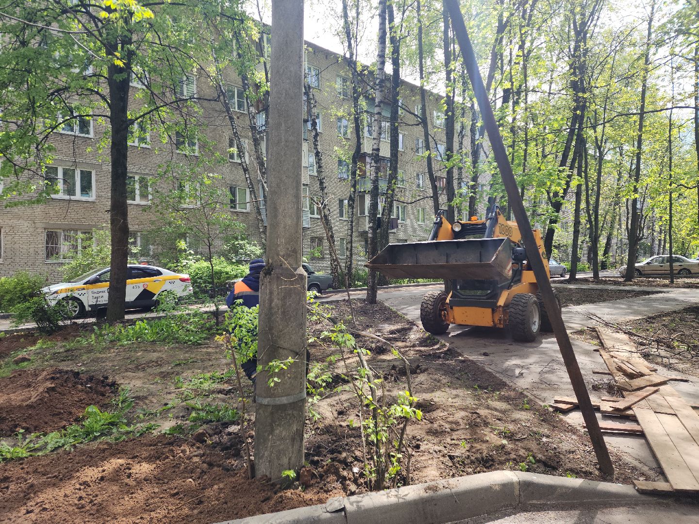 пушкино, благоустройство, газон, трава,