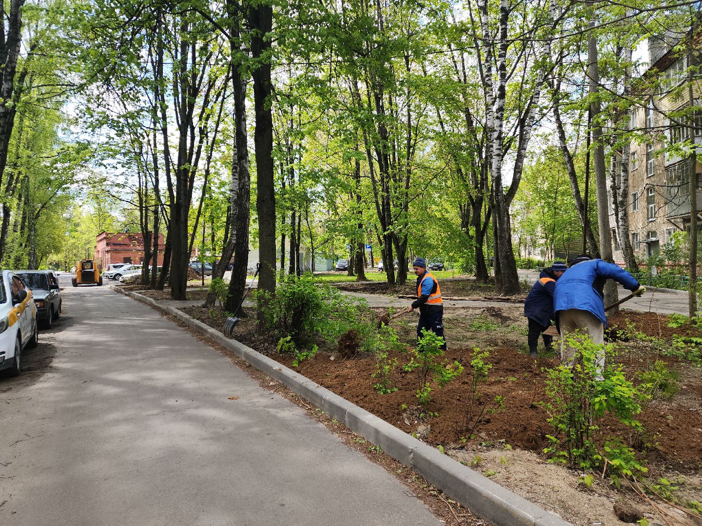 пушкино, благоустройство, газон, трава,