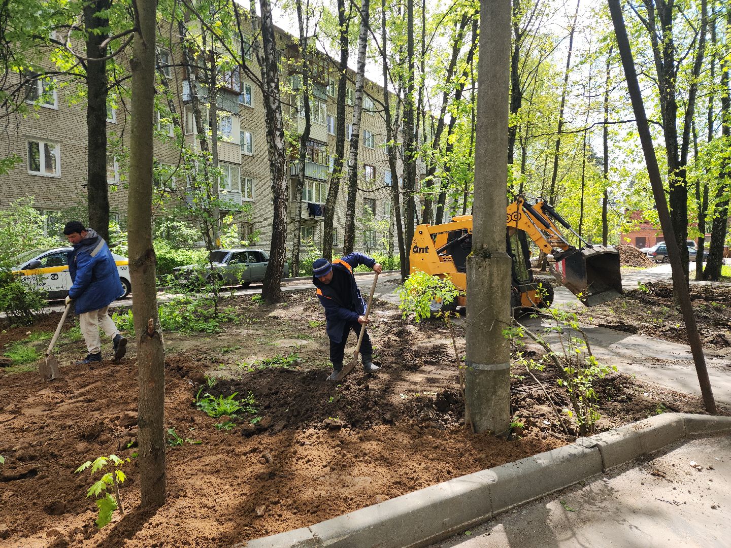 пушкино, благоустройство, газон, трава,