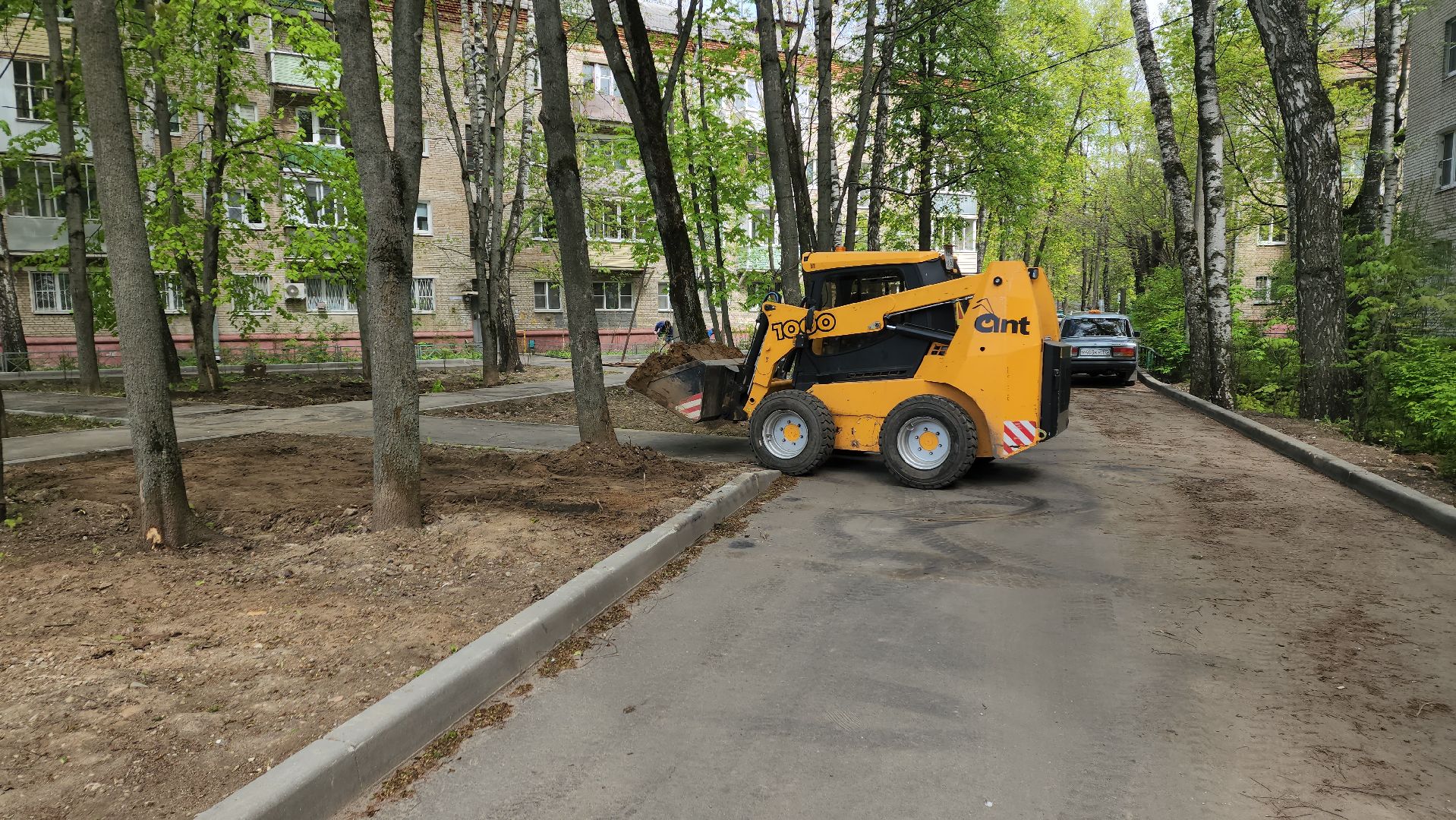 пушкино, благоустройство, газон, трава,