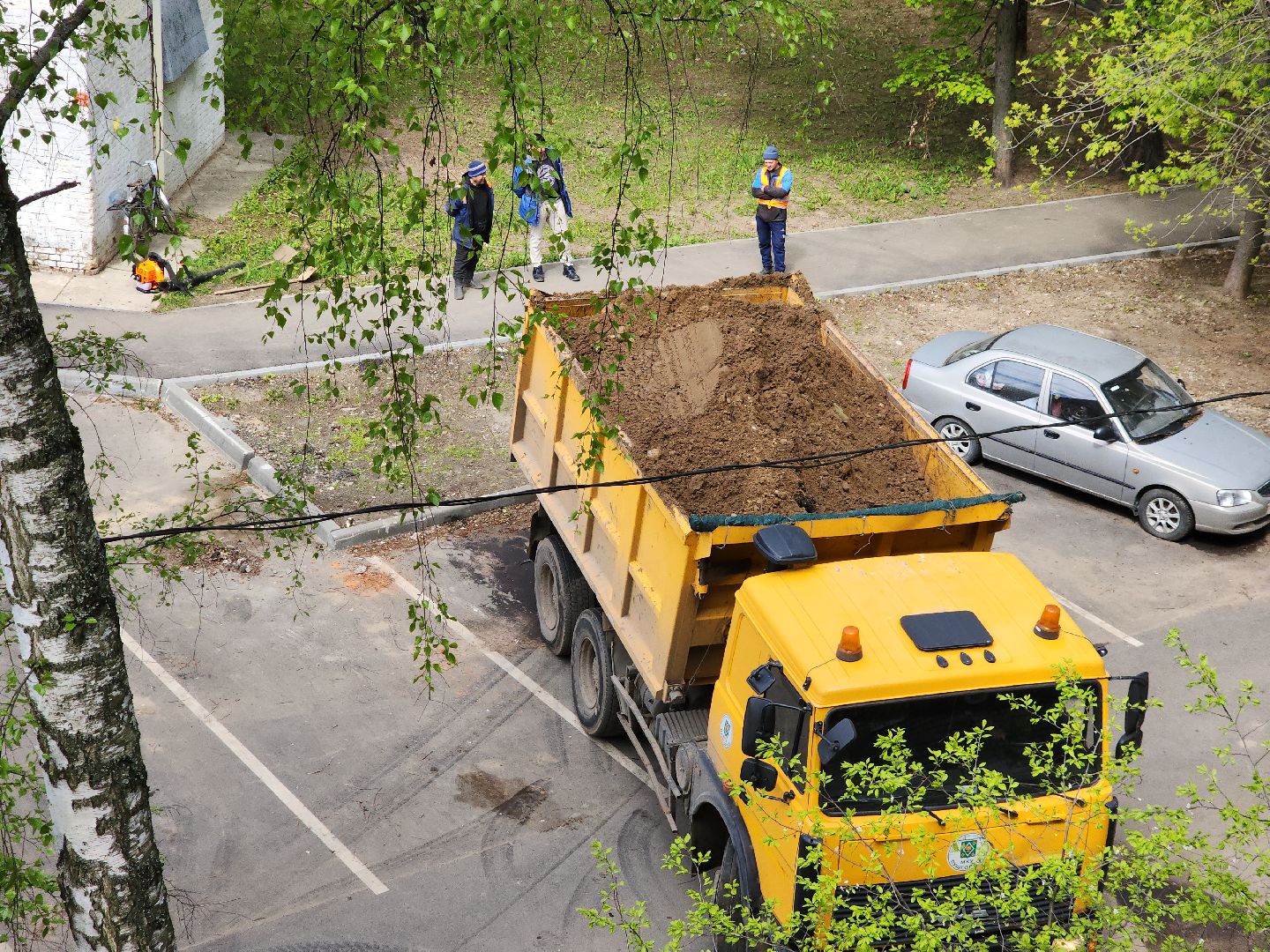пушкино, благоустройство, газон, трава,