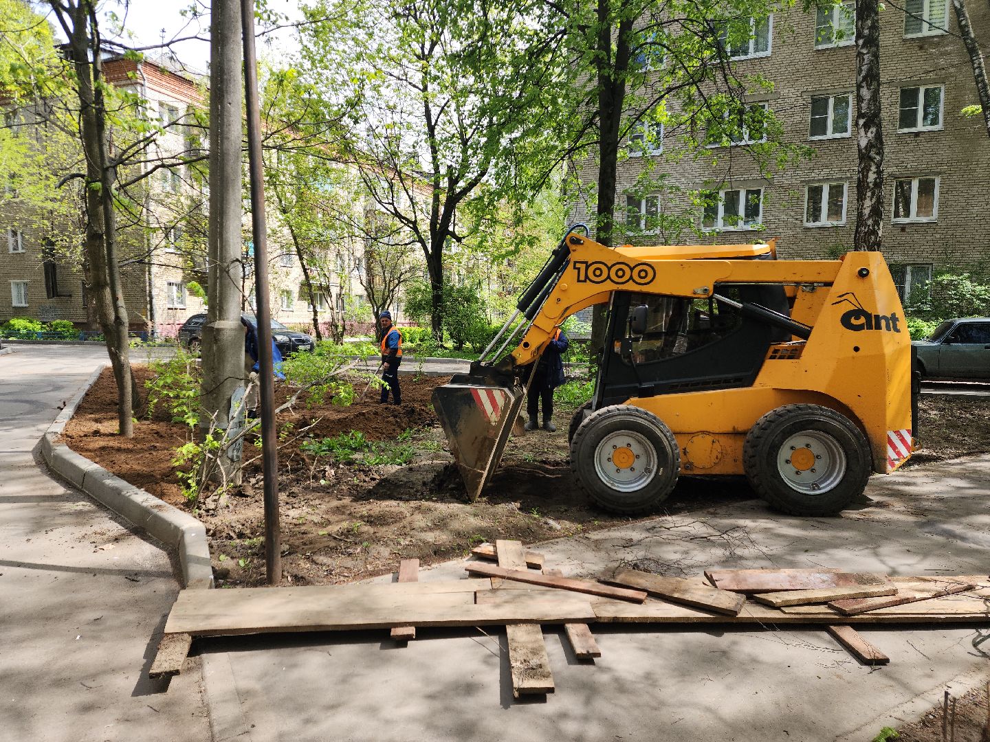 пушкино, благоустройство, газон, трава,