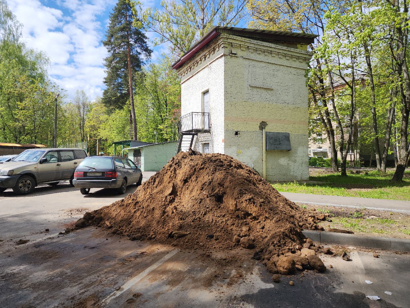пушкино, благоустройство, газон, трава,