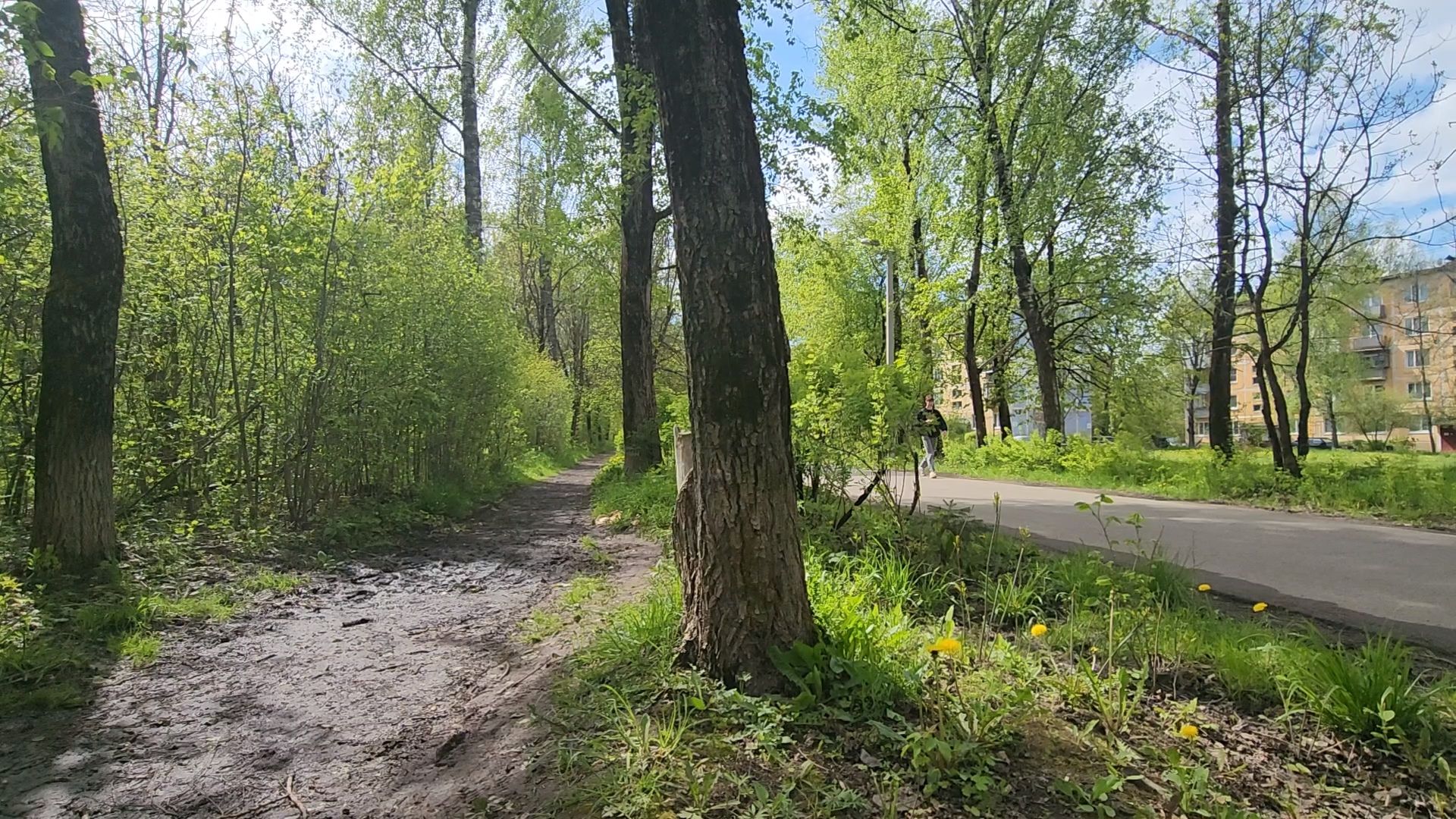 одинцово, Кубинка-10, пешком,