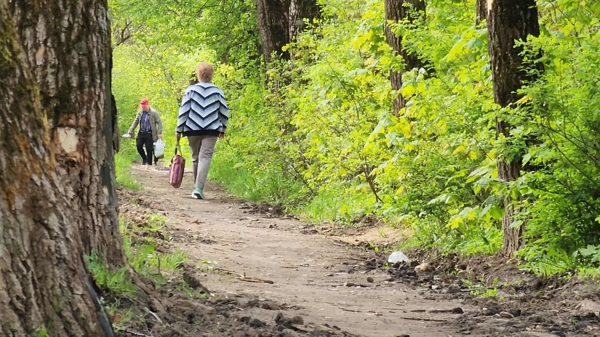 одинцово, Кубинка-10, пешком,