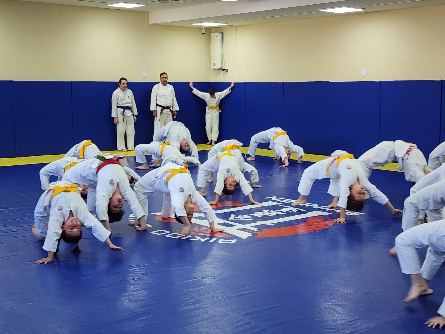 спорт в подмосковье, айкидо, год семьи, спорт для всех,