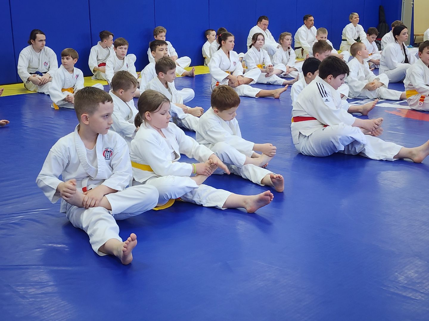спорт в подмосковье, айкидо, год семьи, спорт для всех,