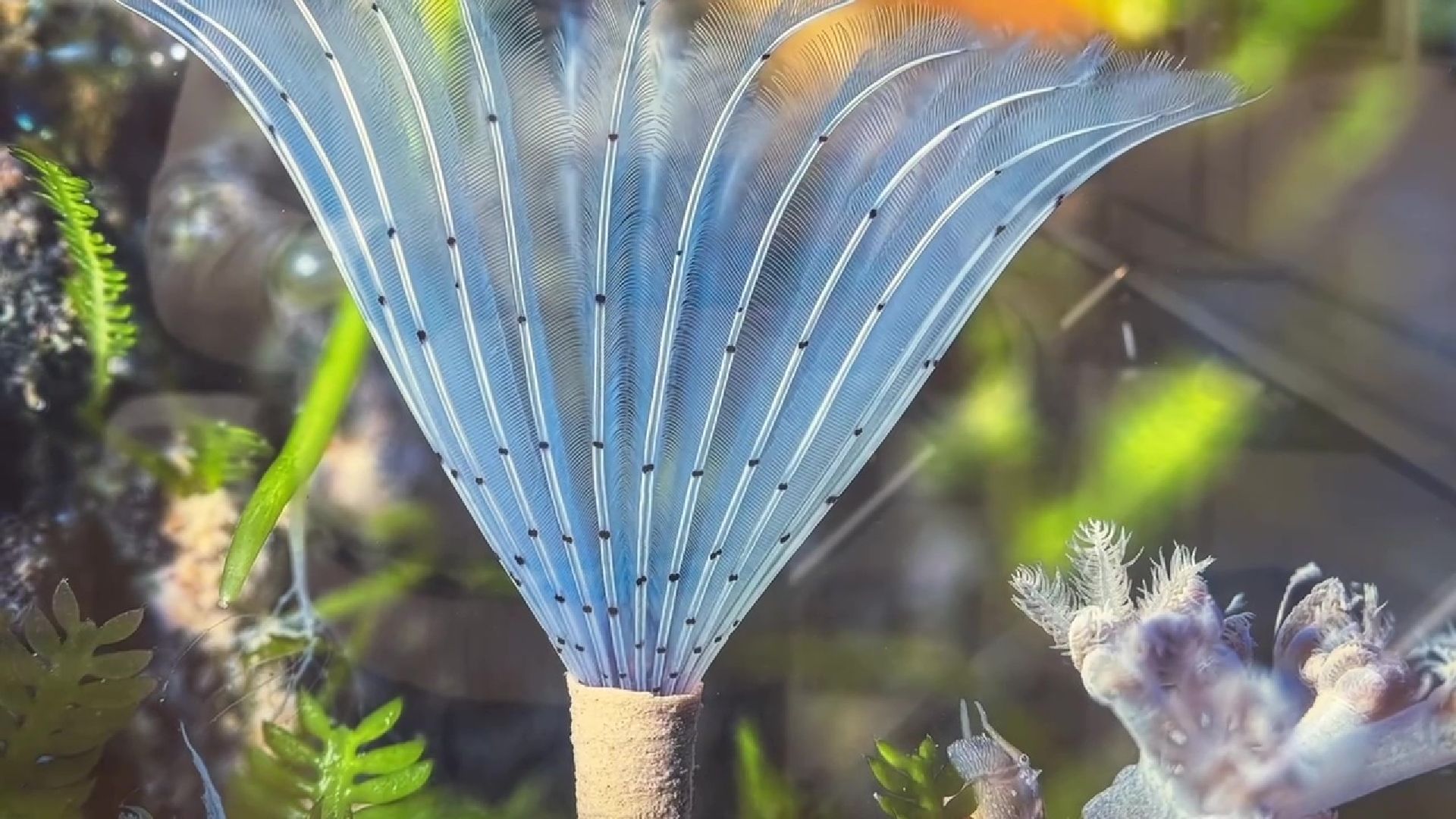 Реутов, музей, выставка, микрофото,