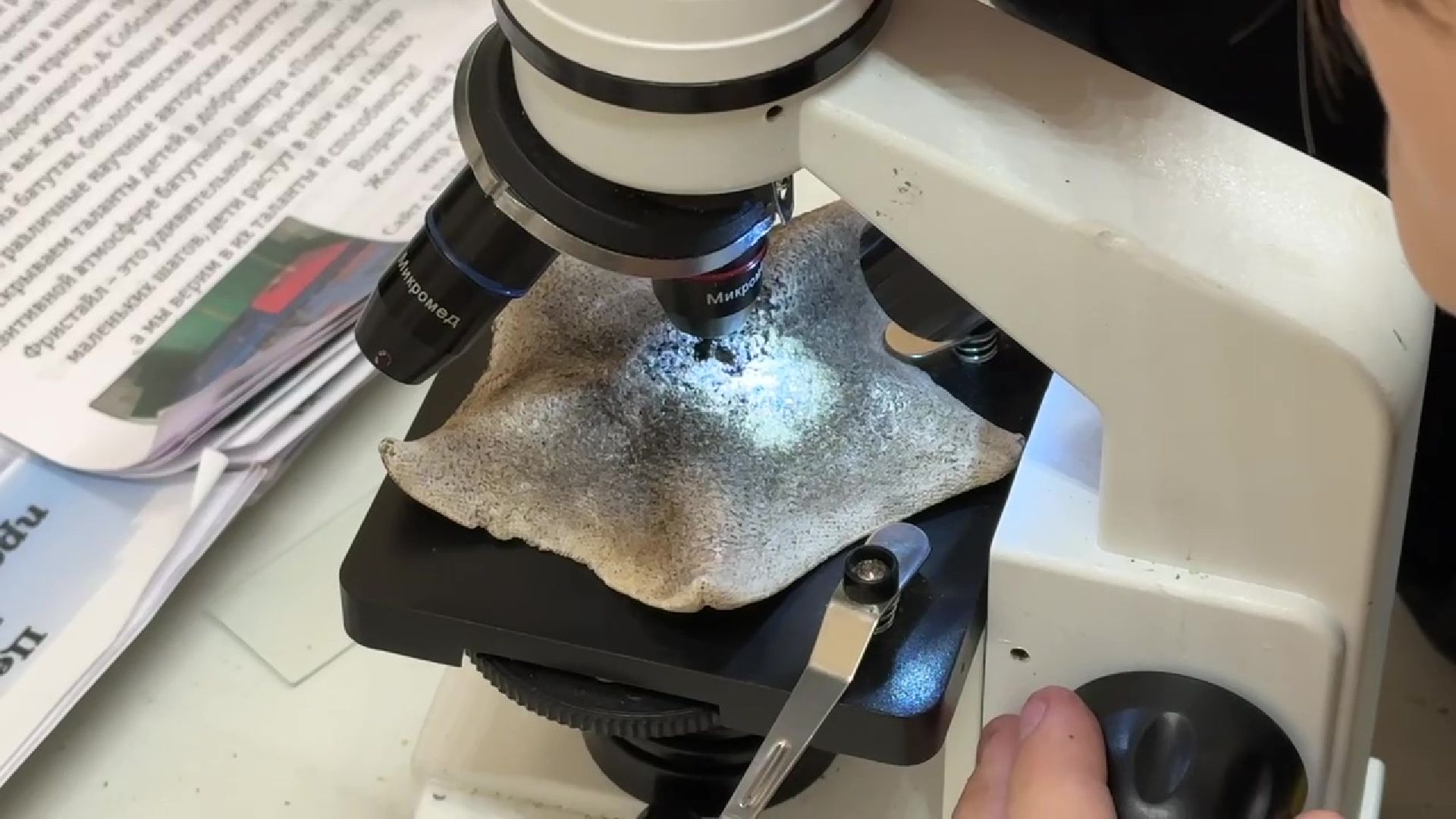 Реутов, музей, выставка, микрофото,