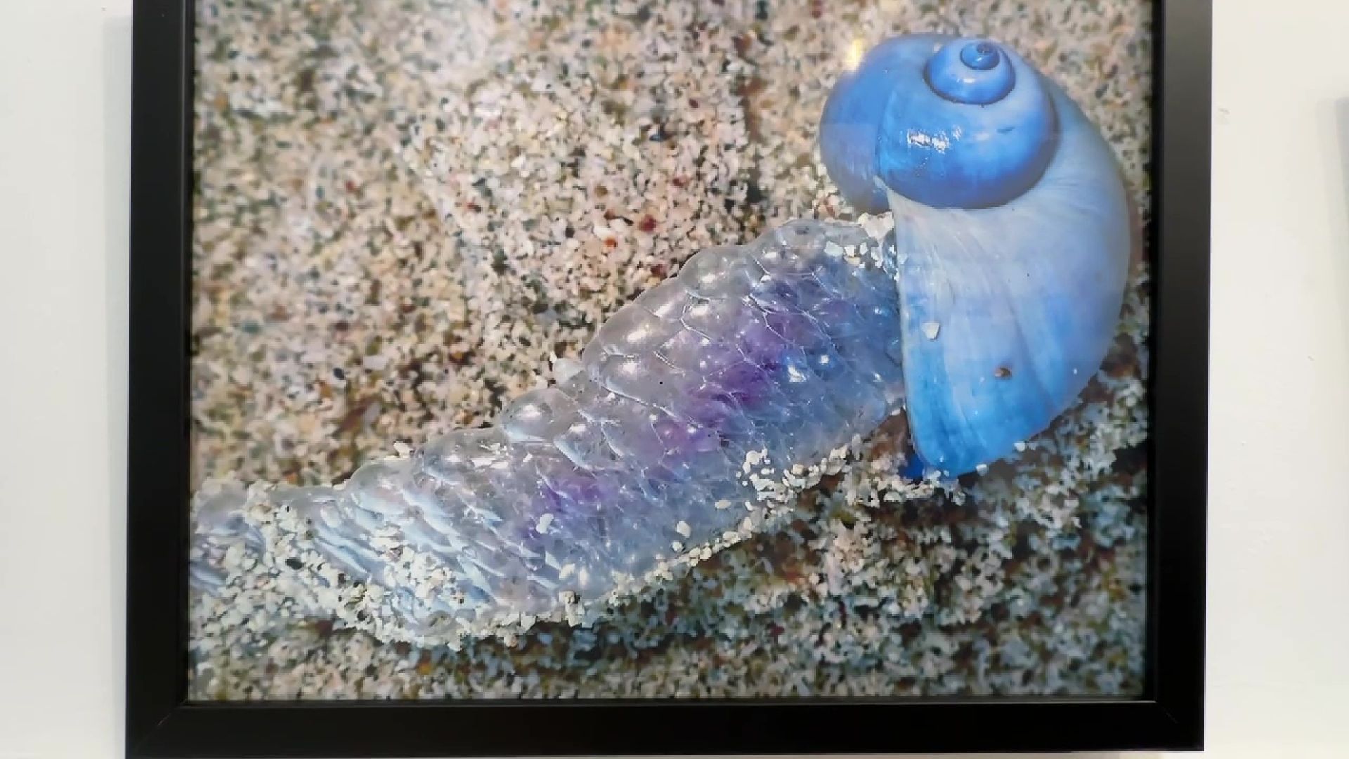 Реутов, музей, выставка, микрофото,