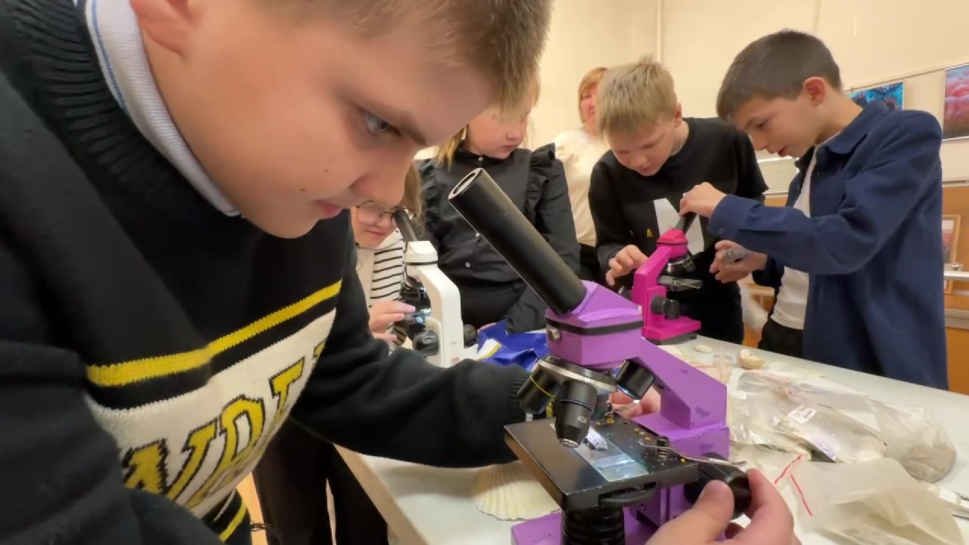 Реутов, музей, выставка, микрофото,