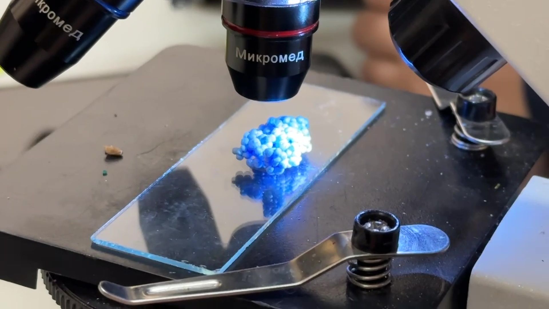 Реутов, музей, выставка, микрофото,