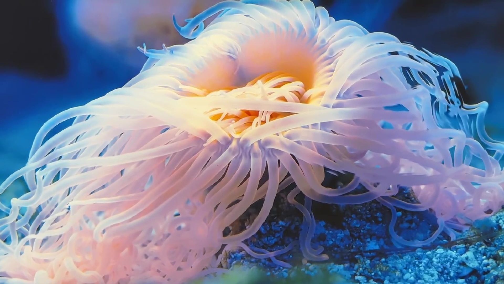 Реутов, музей, выставка, микрофото,