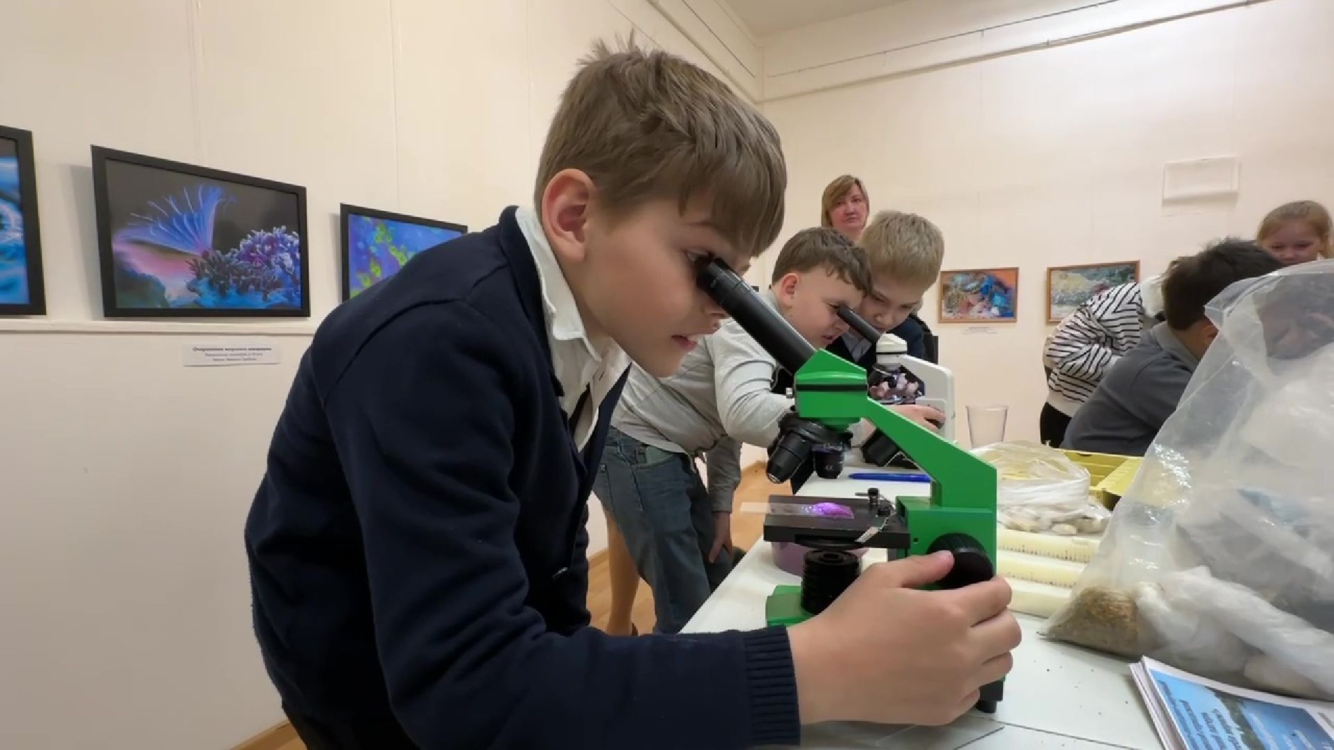 Реутов, музей, выставка, микрофото,